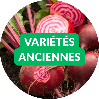 Bulles HP var anciennes