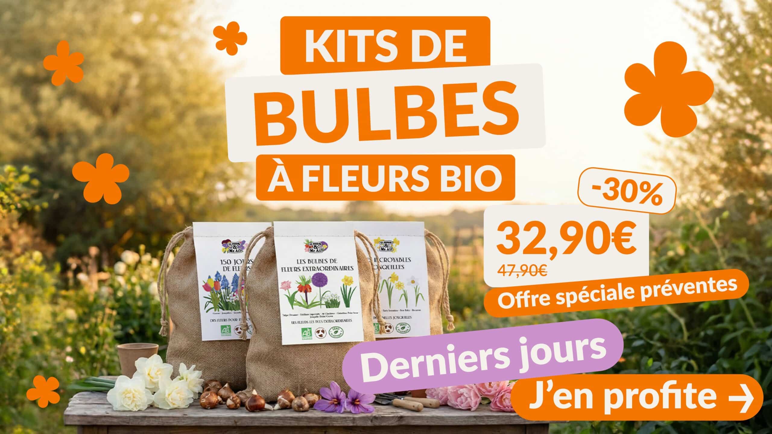 Visuel HP mobile derniers jours scaled