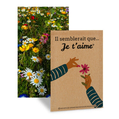 Il semblerait que je t'aime - Graines de fleurs