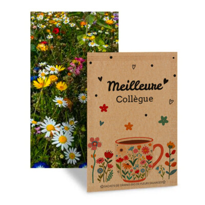 Meilleure collègue - Graines de fleurs