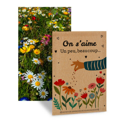 On s'aime un peu, beaucoup... - Graines de fleurs
