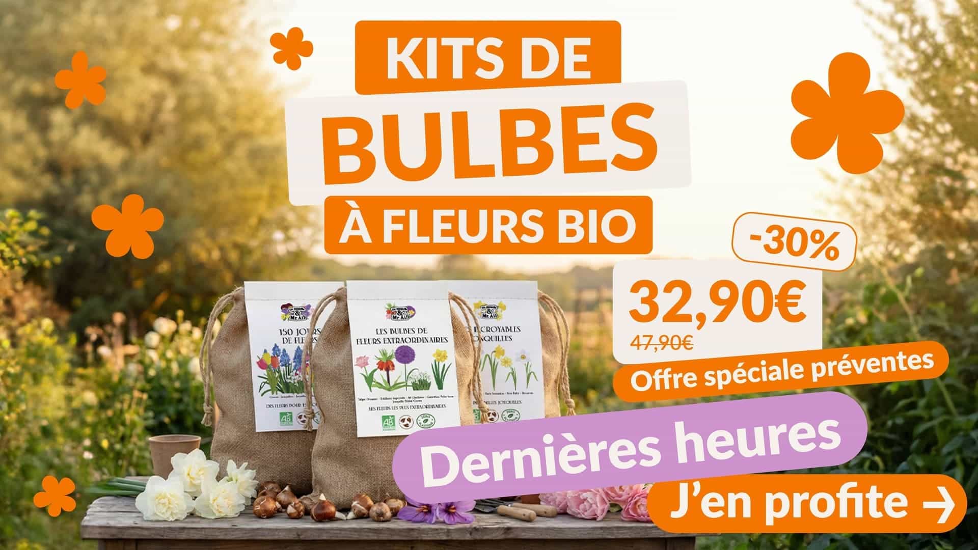 DERNIERES HEURES 2 HP mobile derniers jours 1