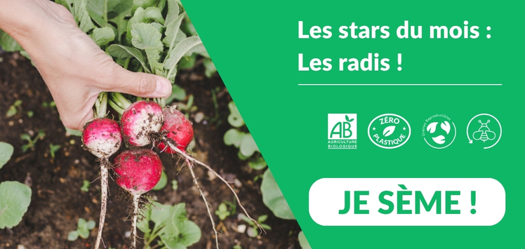 rect HP les radis